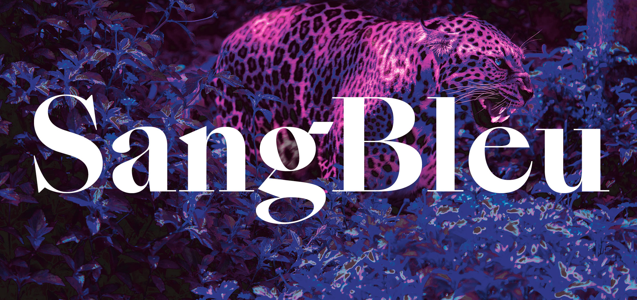 SangBleu-Typeface-1