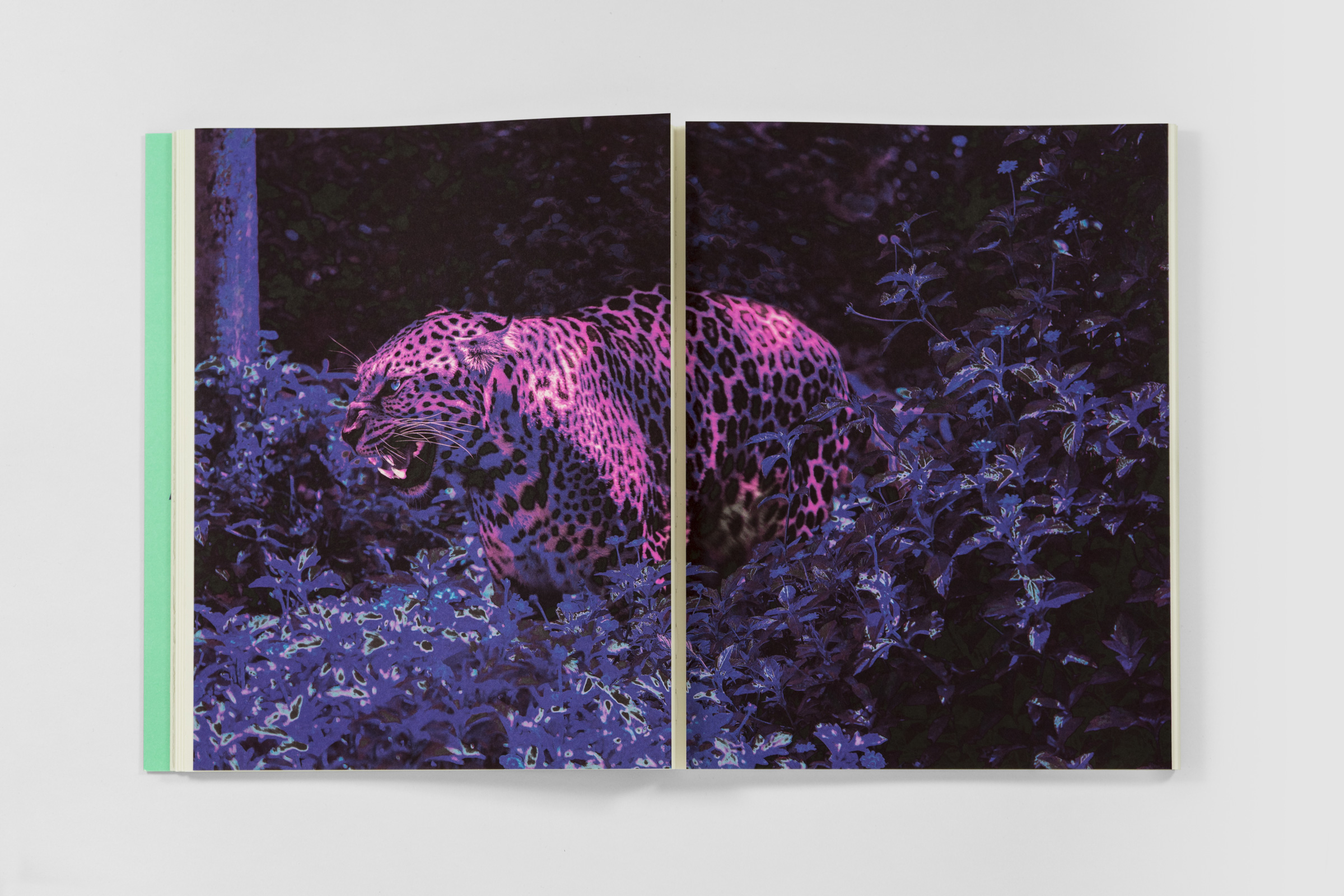 sangbleu-book-4