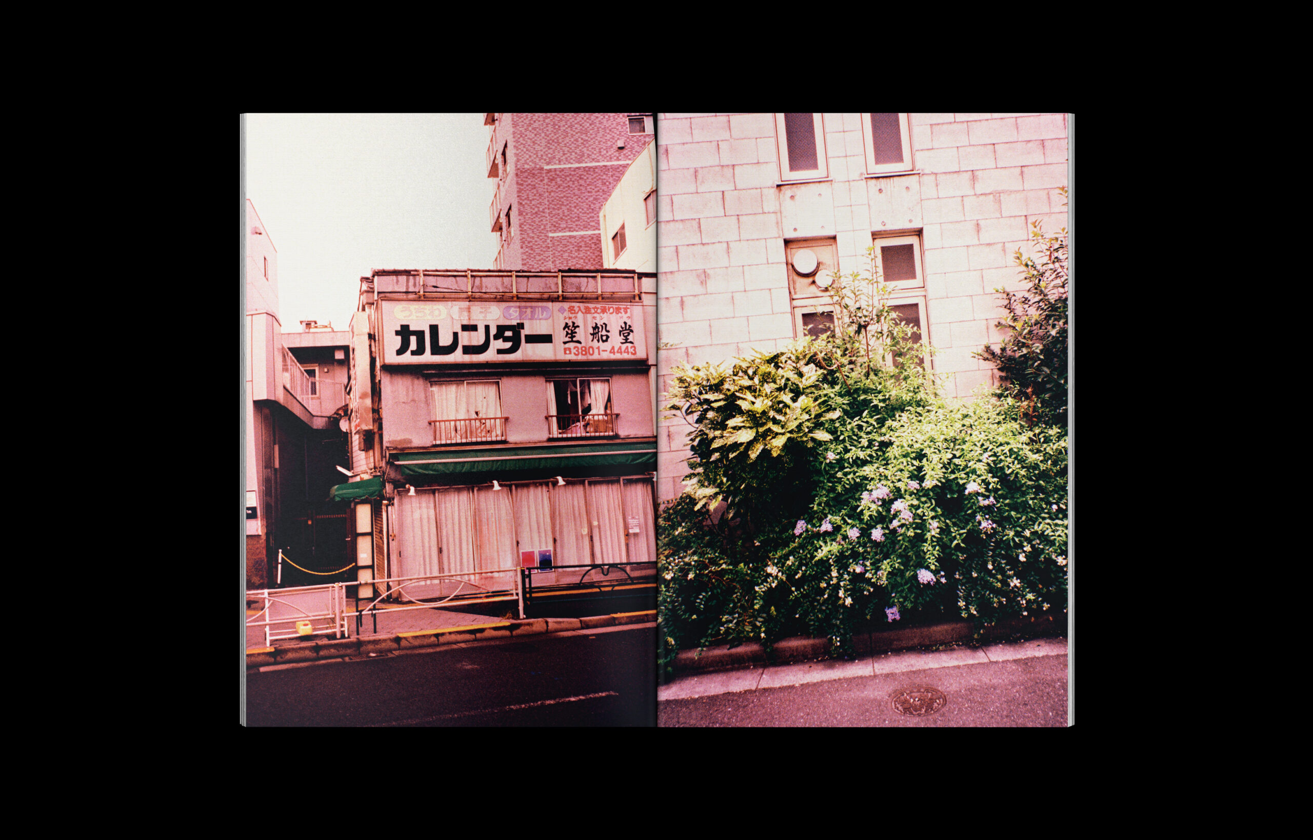 tokyo-flash-int-10-greco-dennis-moya