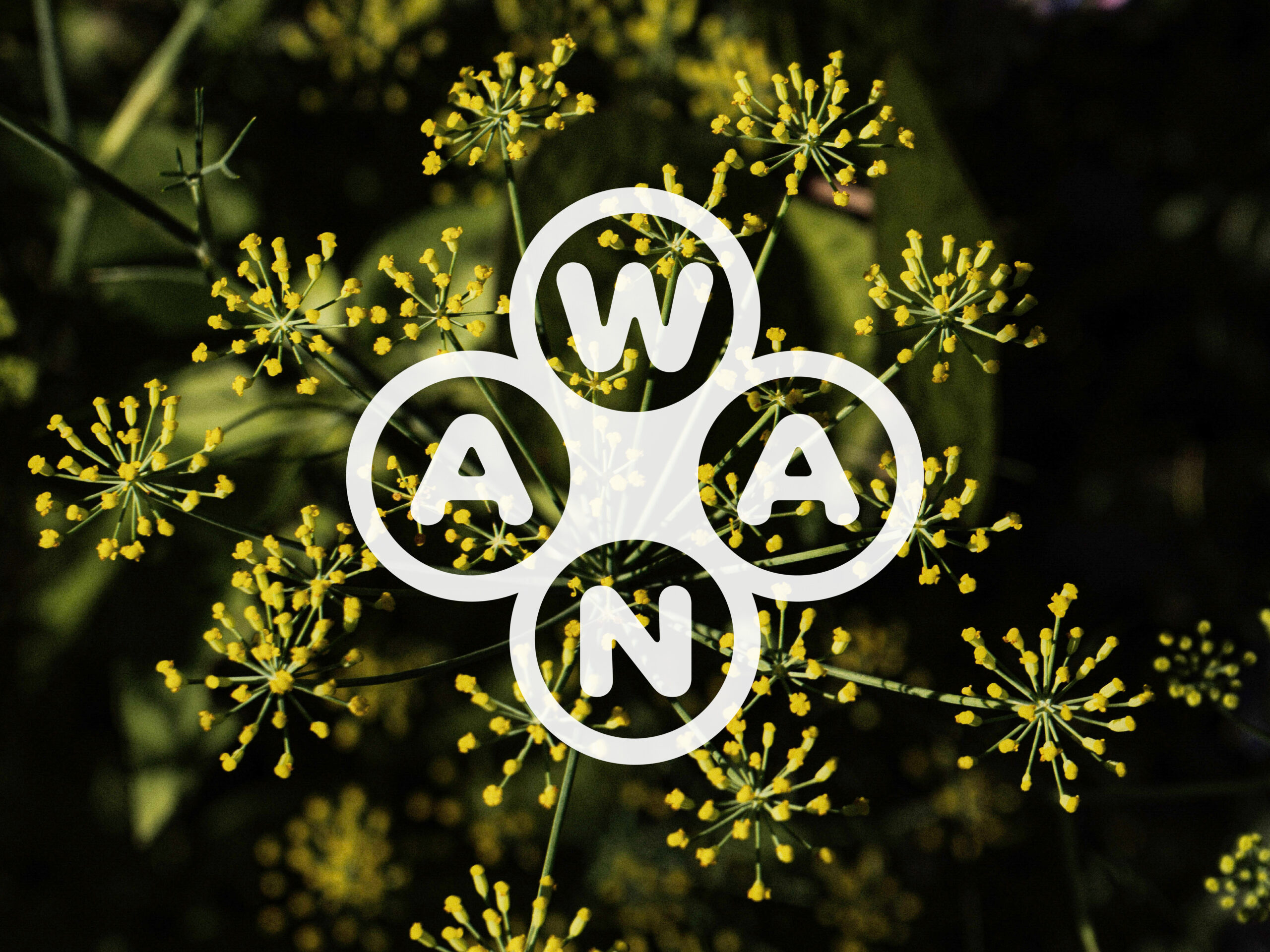 Wana-logo-dennis-moya-raza